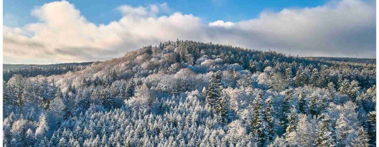 Dárek k Vánocům všem milovníkům Brd: lesy na Kloboučku se dočkaly ochrany