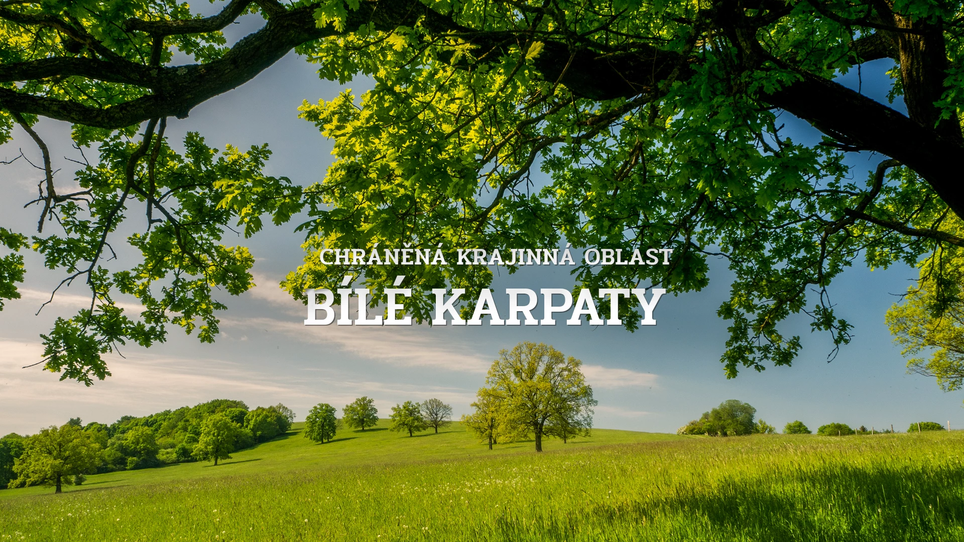 Chráněná krajinná oblast Bílé Karpaty